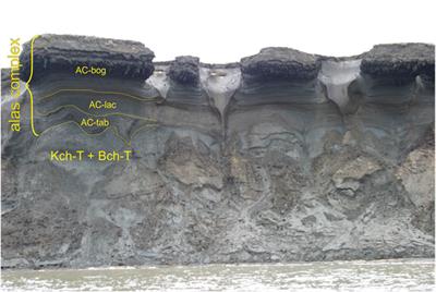 Cryolithostratigraphy of the Middle Pleistocene to Holocene Deposits in the Dmitry Laptev Strait, Northern Yakutia